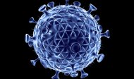 Recherche médicale - virus HIV