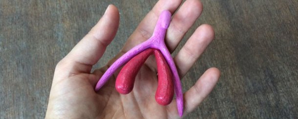 Le clitoris en 3D et taille réelle, méconnu par la plupart © capture d'écran