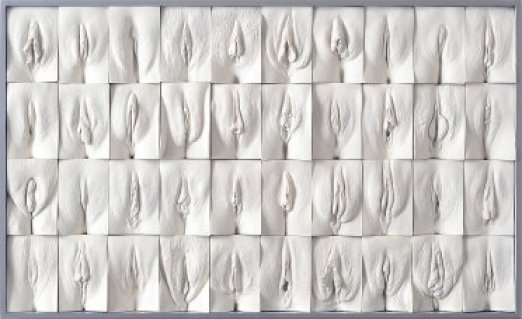 Extrait de l'œuvre &quot;The great wall of vaginas&quot; © Jamie McCartney